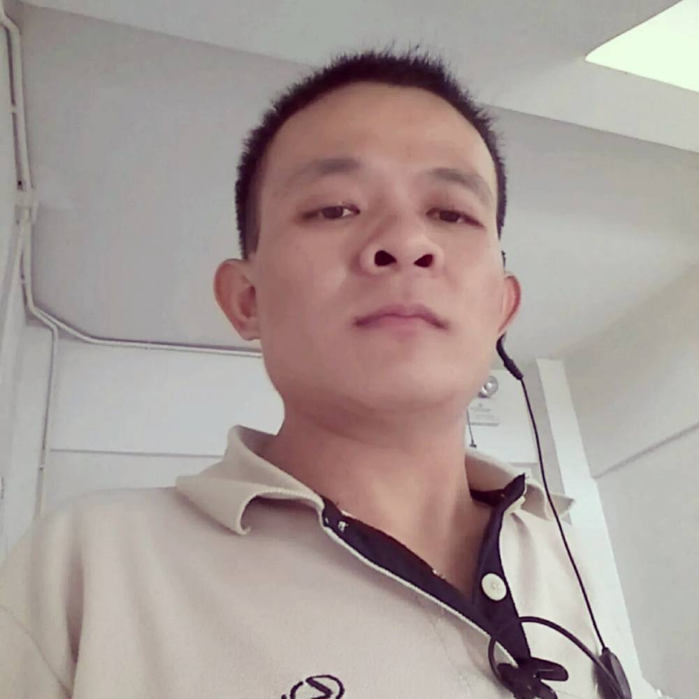 车什的照片