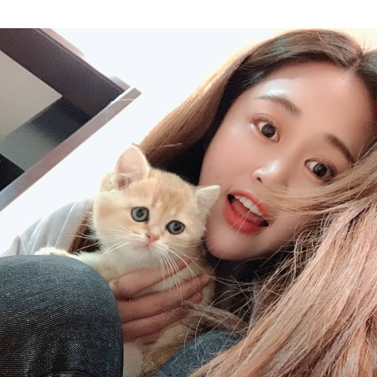 cat的照片