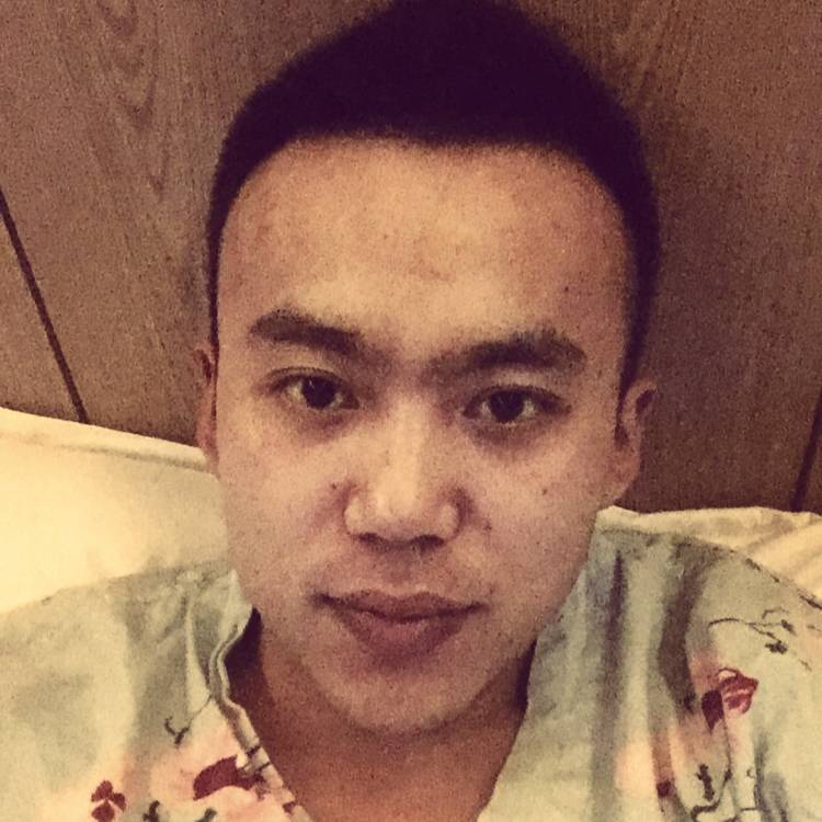烈日绵羊的照片