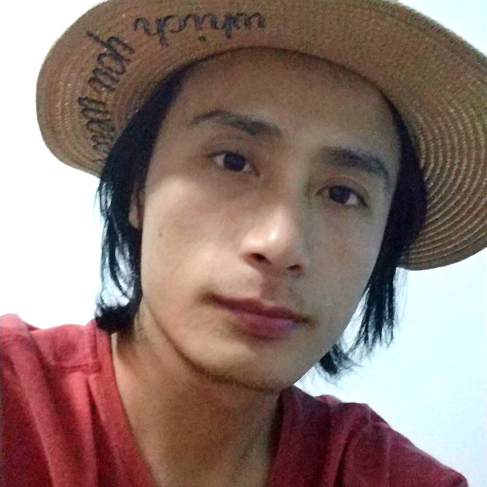 孤独的灰太狼狼的照片