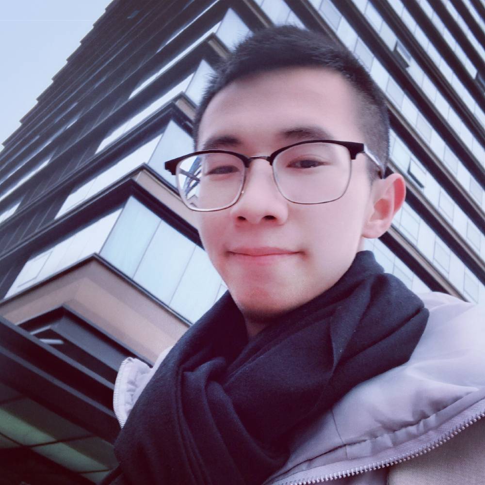 胡萝卜摇摆的照片