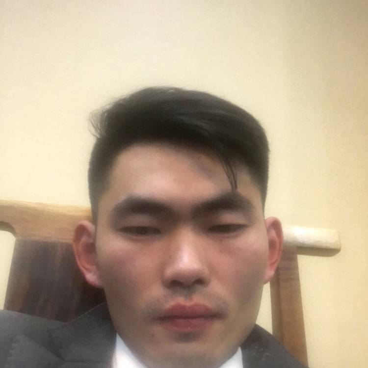 安静蝈蝈的照片