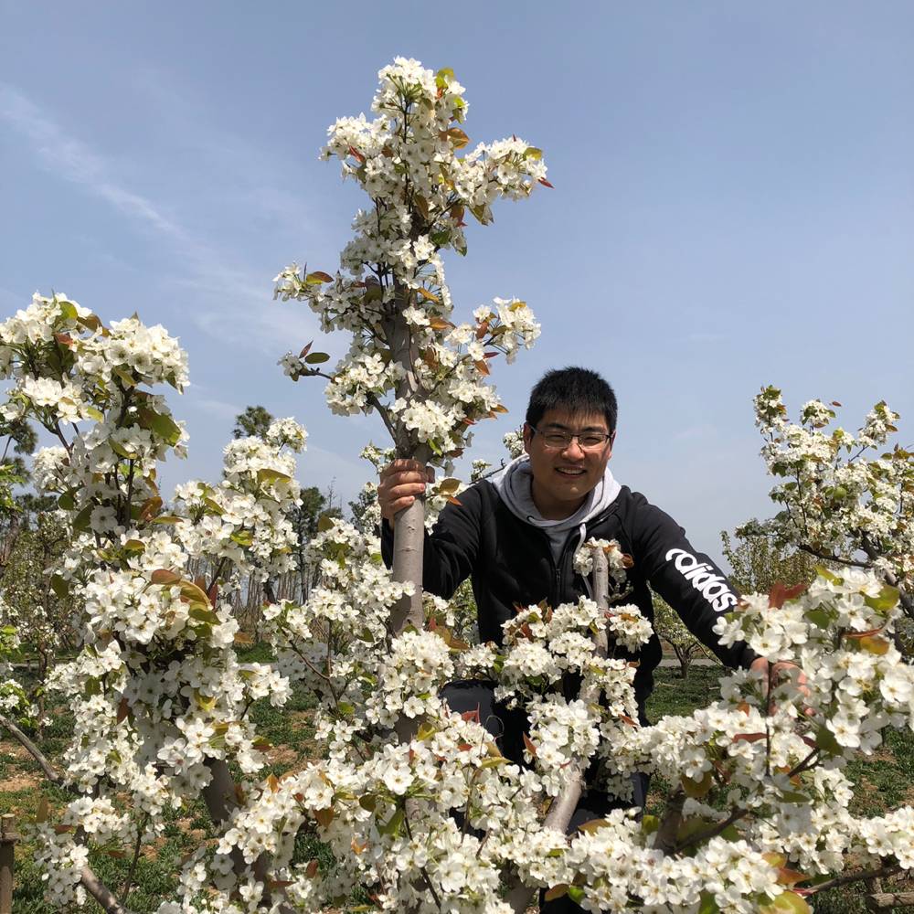 人生涵义的照片