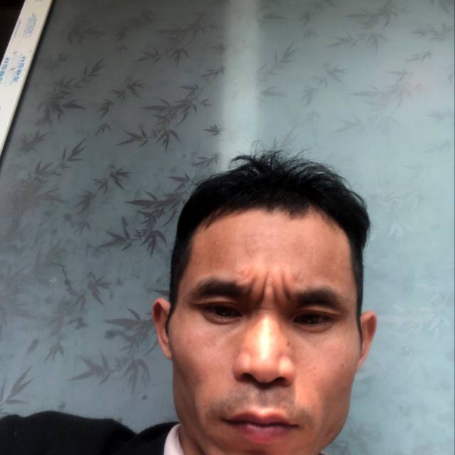 心不由衷的照片