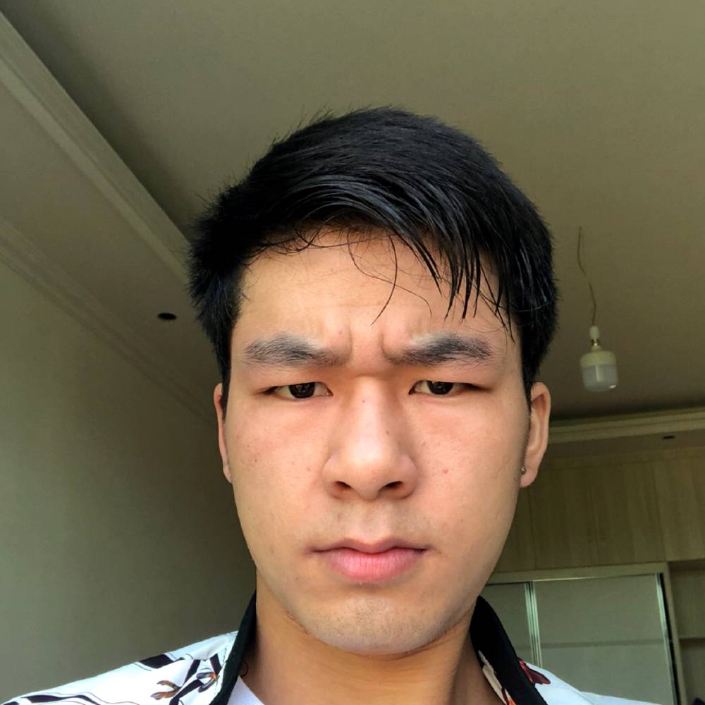 甘大鹏的照片