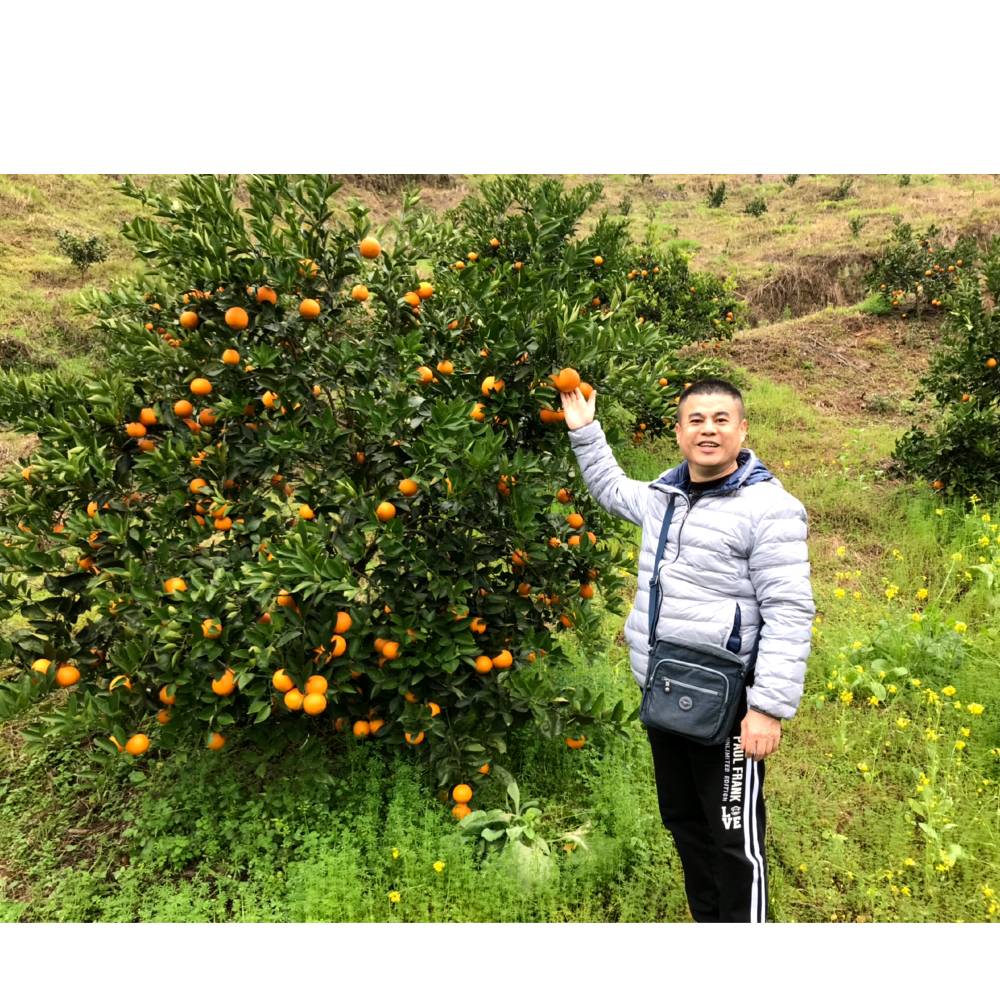 志趣相投的人的照片