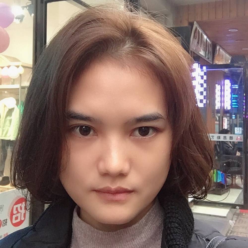 阳光枫叶的照片