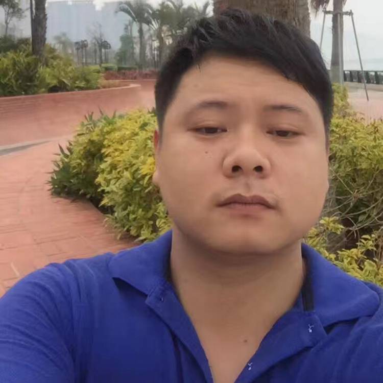 立马的照片