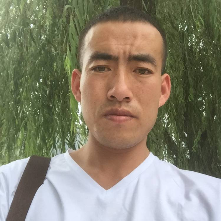 干家的，的照片