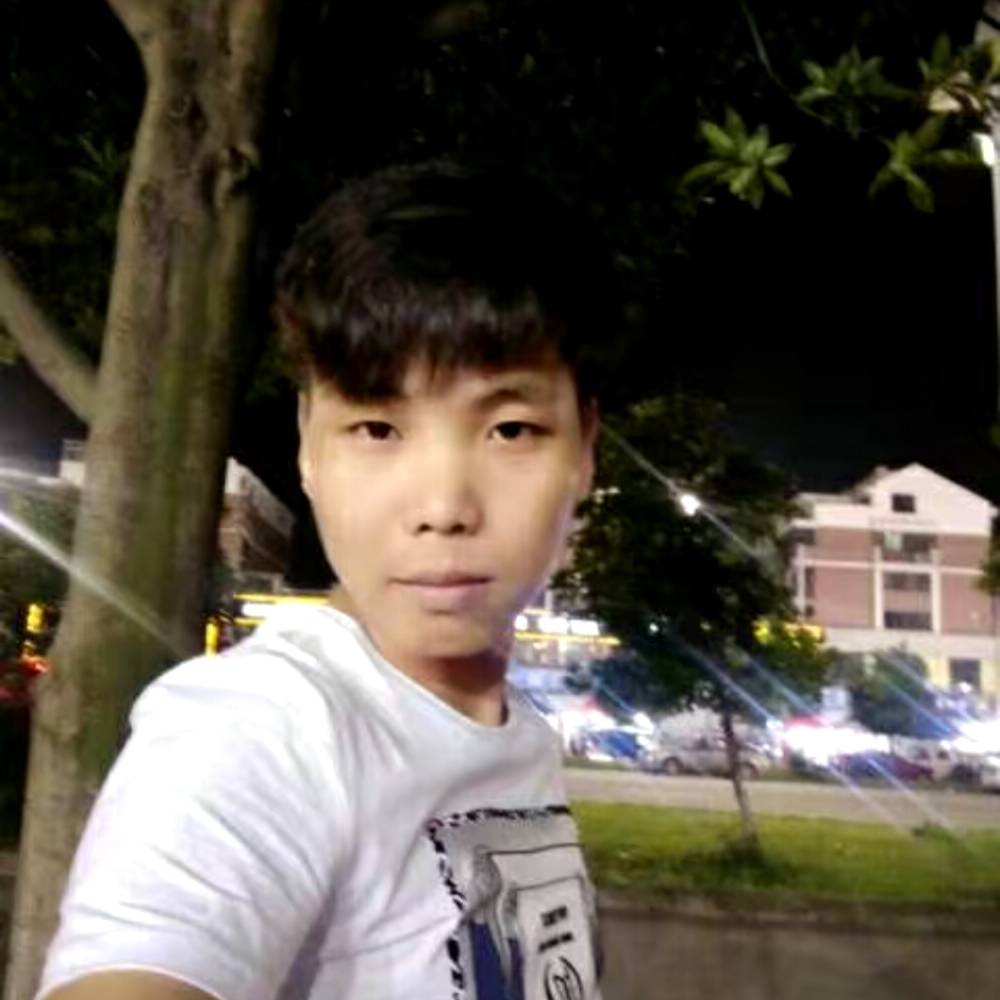 不会说谎的傻瓜的照片