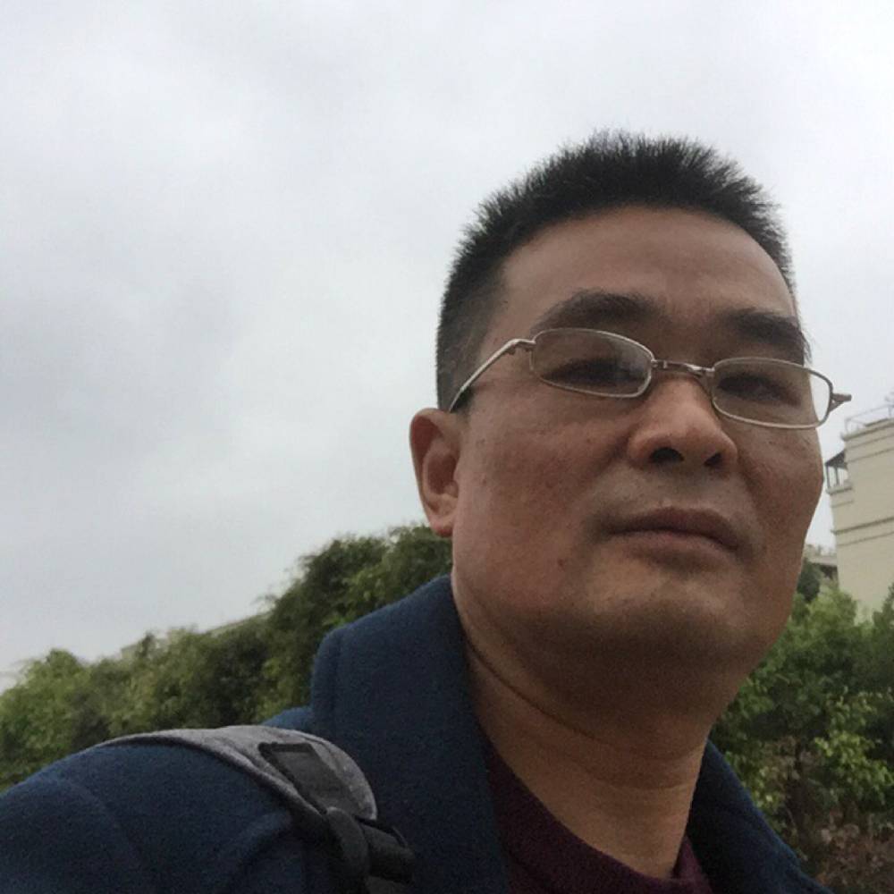 沙滩绿洲的照片