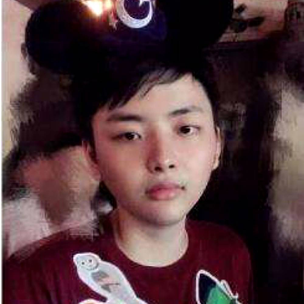 时尚仙人掌掌的照片