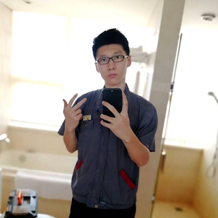 飞翔的荷兰猪的照片