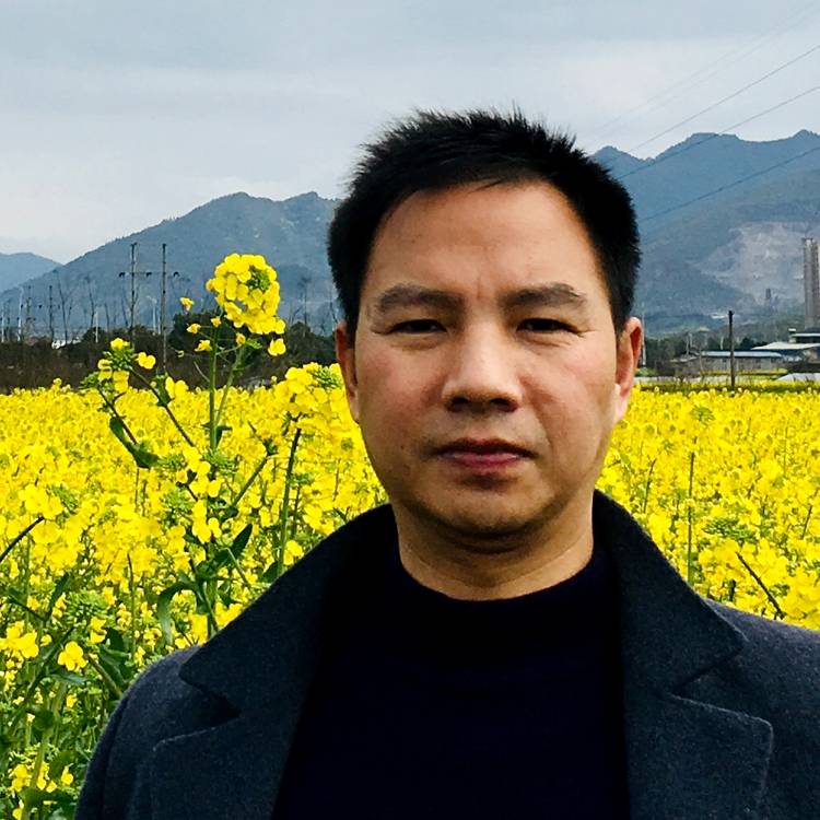 小小雨花石的照片