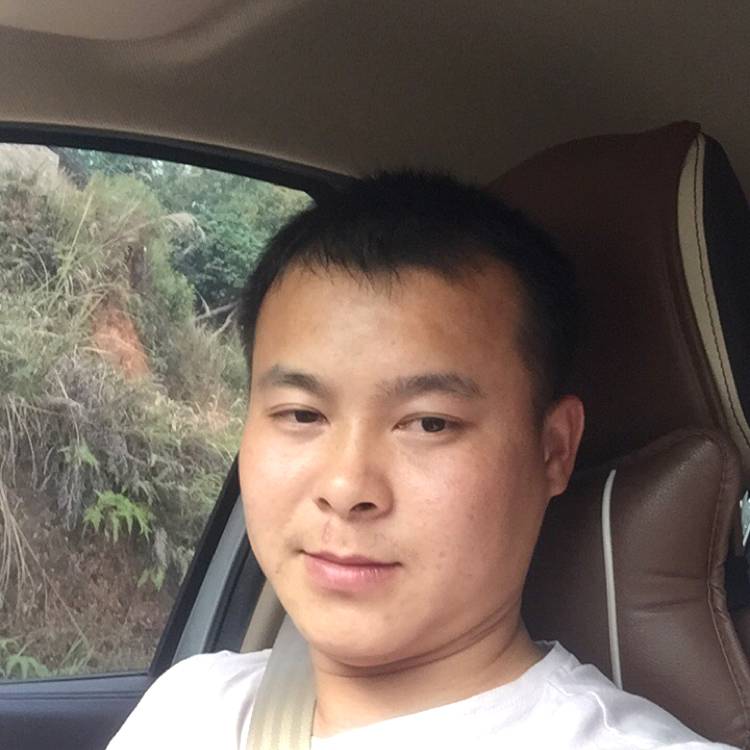笨笨鱼1的照片