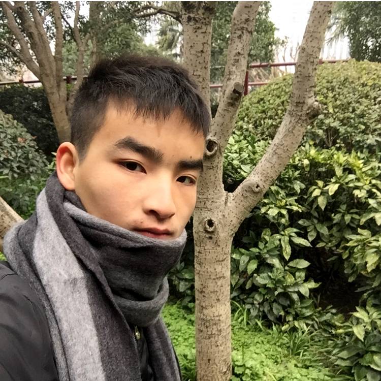 无心打绕的照片