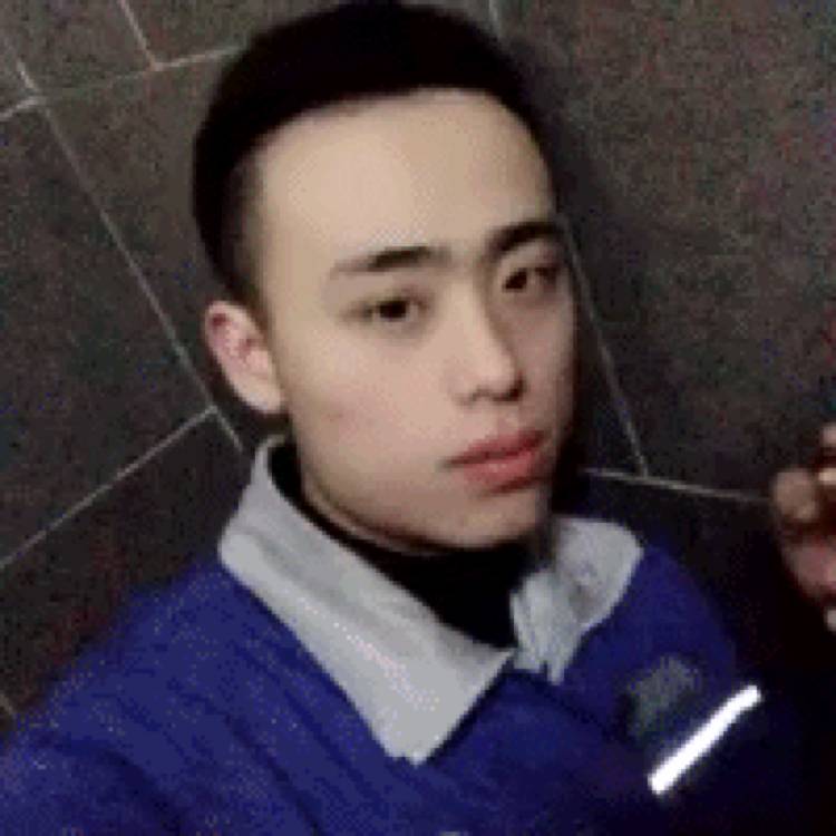 凯凯981的照片
