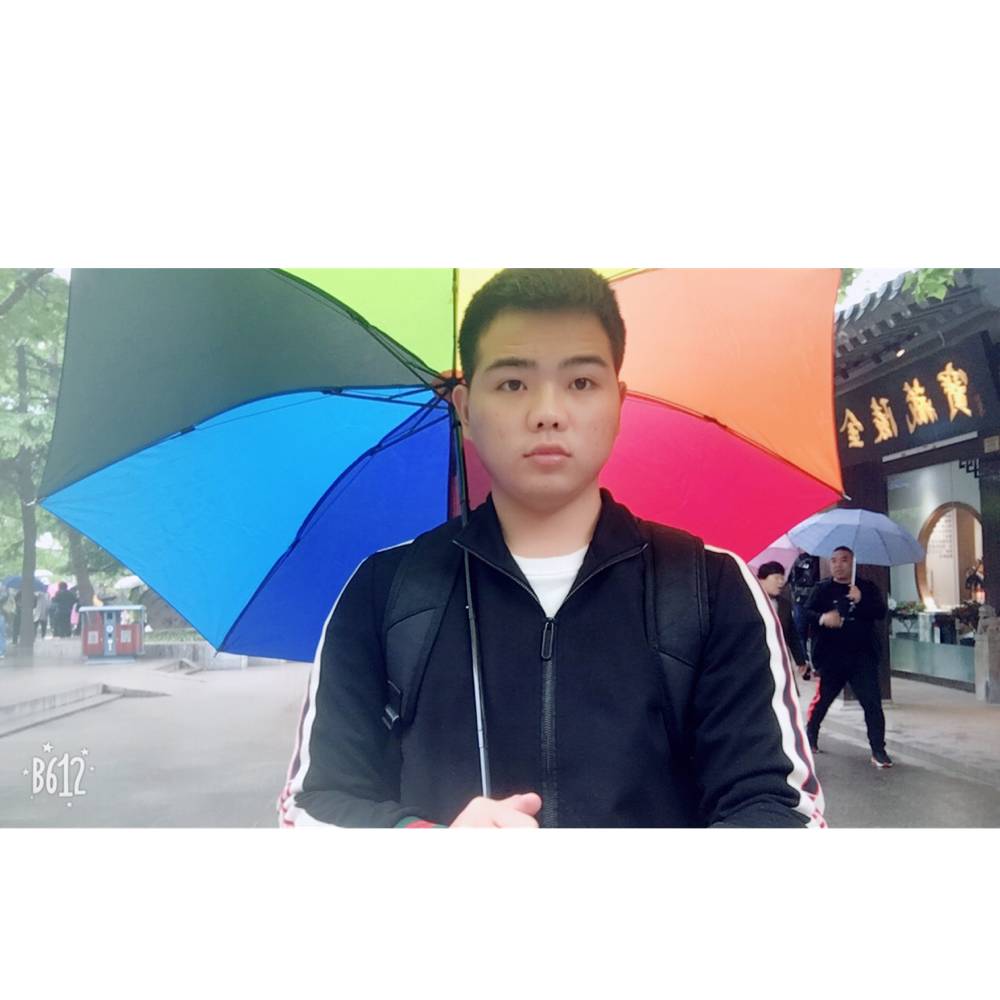 小懒虫热心的照片