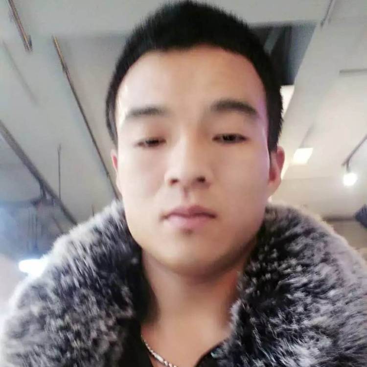代号黑鹰的照片