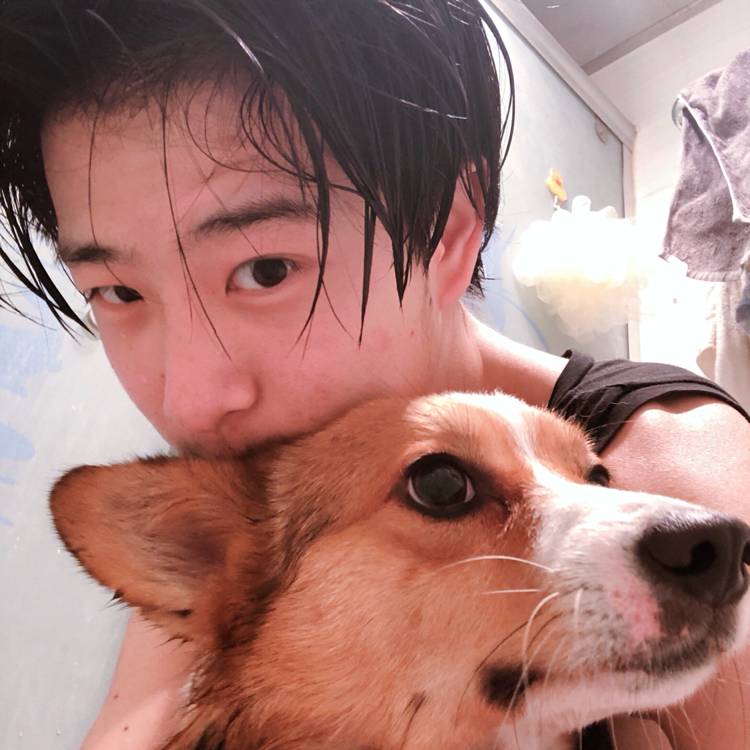 Sinvy的照片