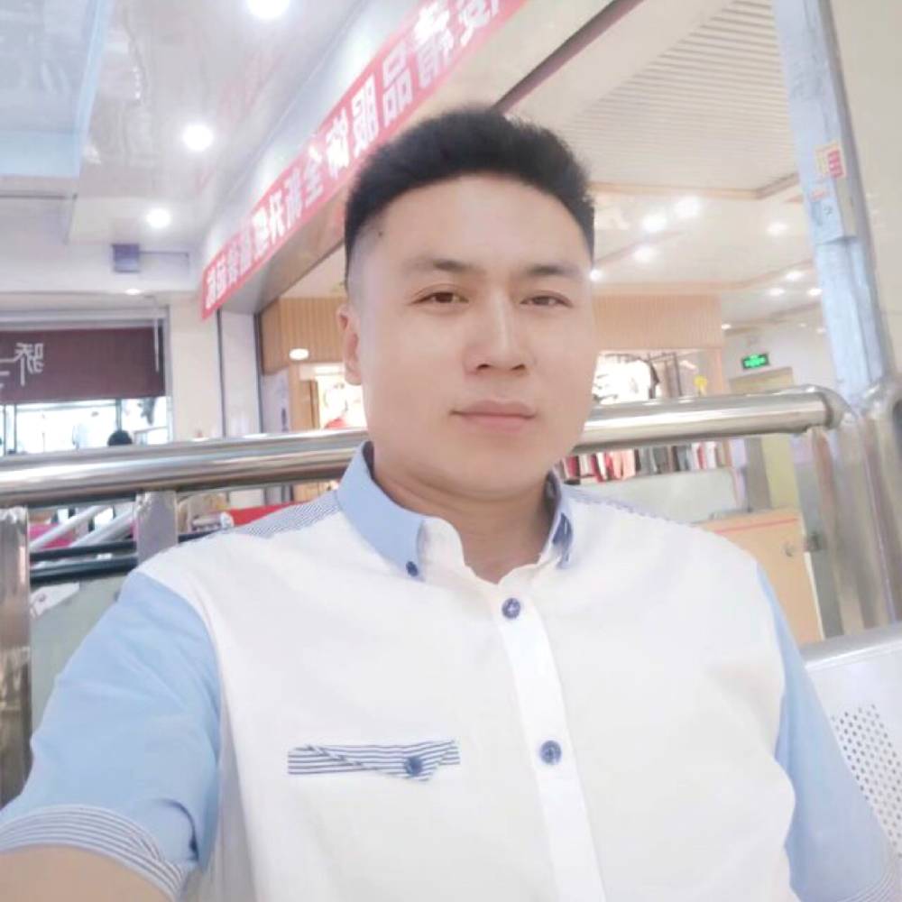 仙人掌的整齐的照片