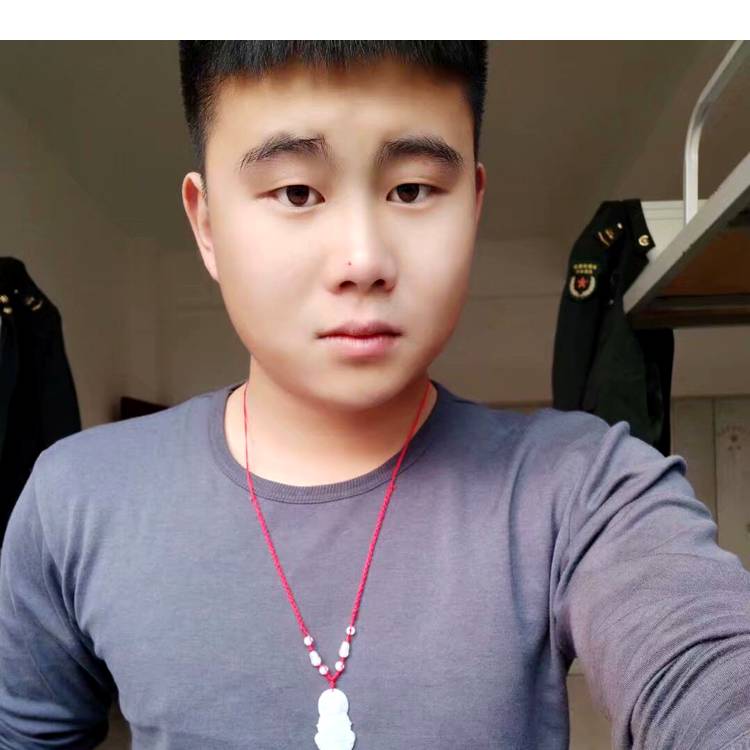 滑板传统的照片