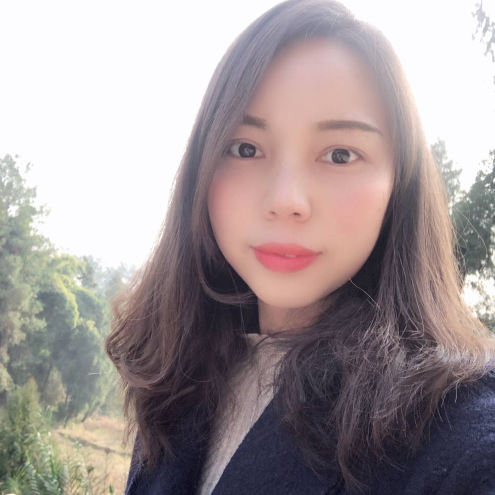 妖娆的狐狸的照片