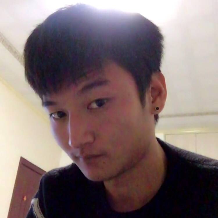 贪玩演变小海豚的照片