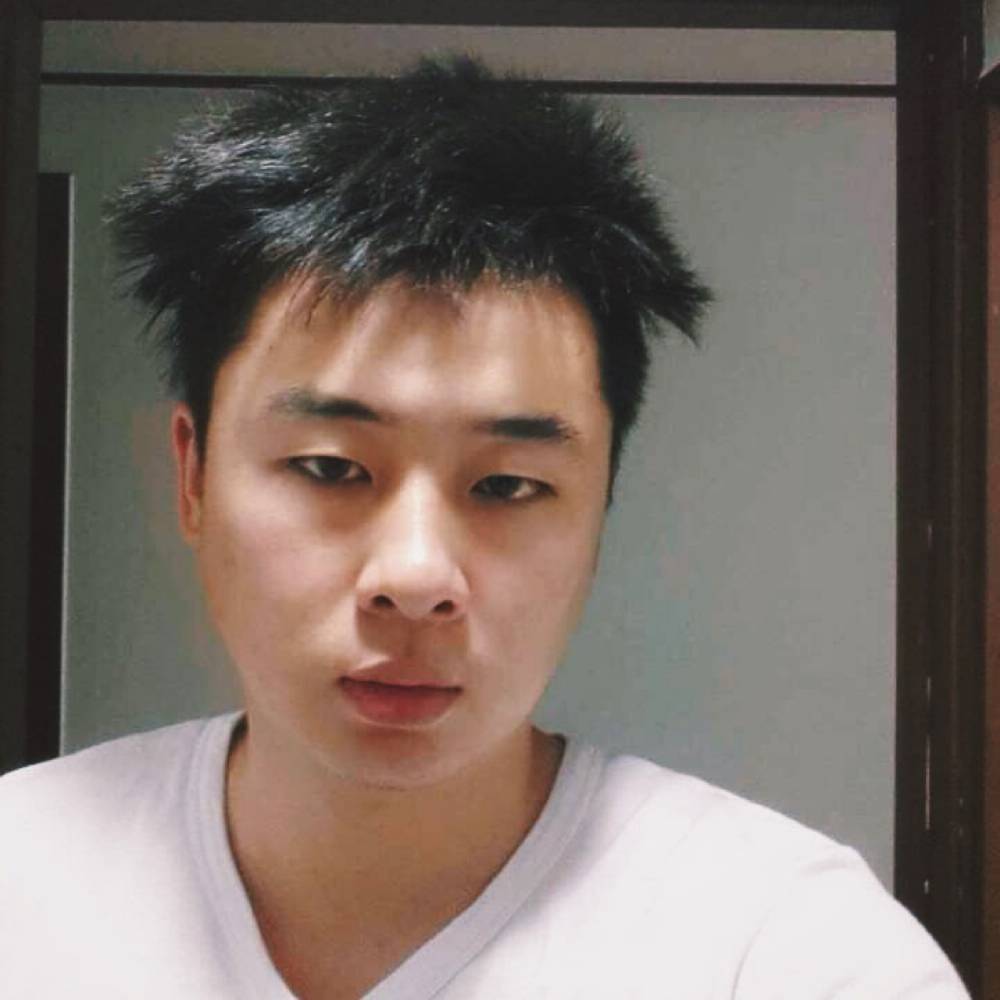 洋葱灵巧的照片