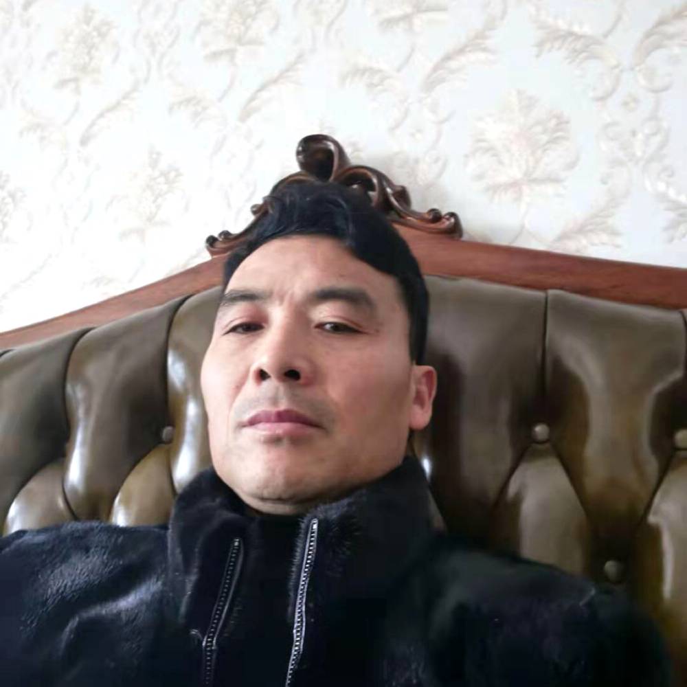 我为何而来的照片