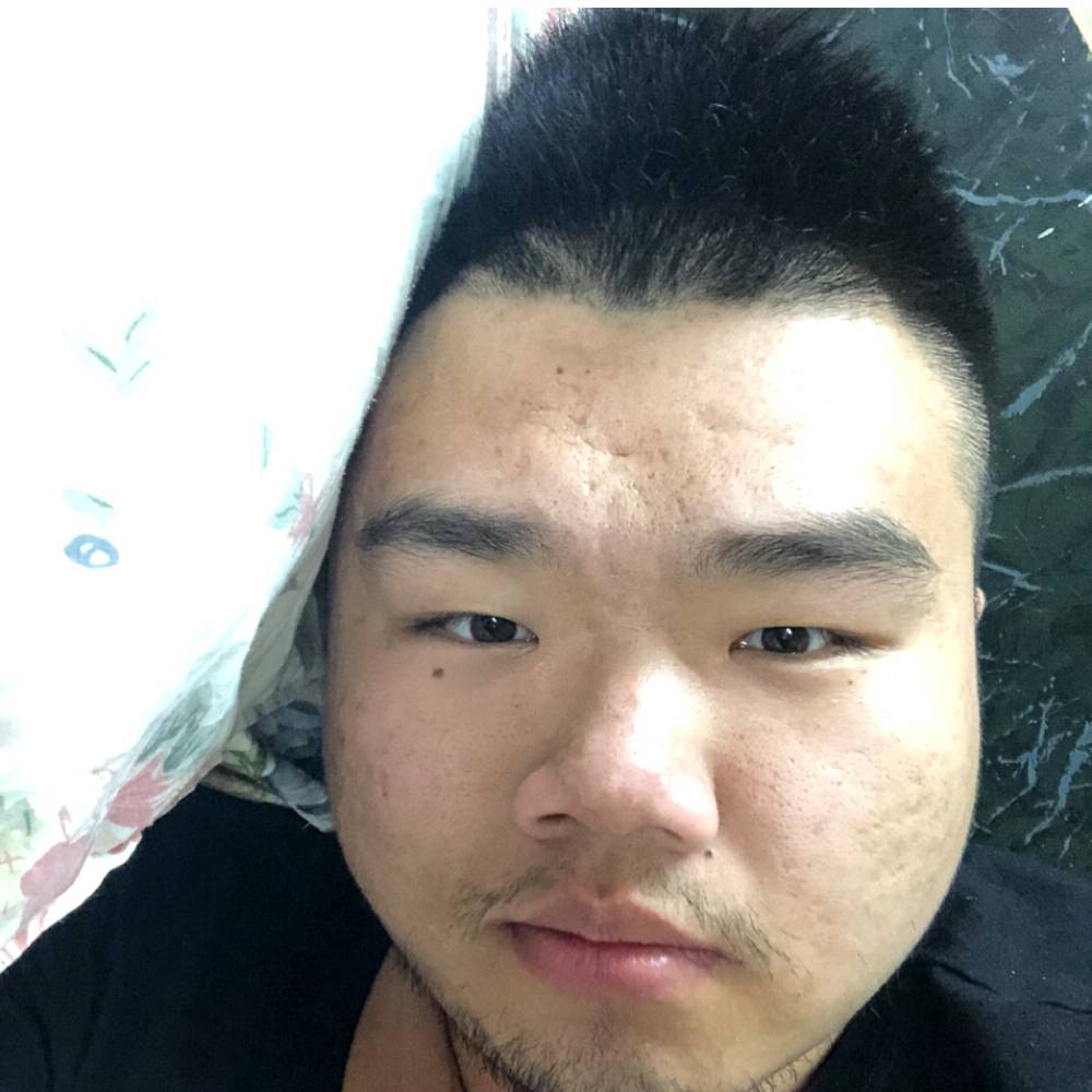 Squalo的照片