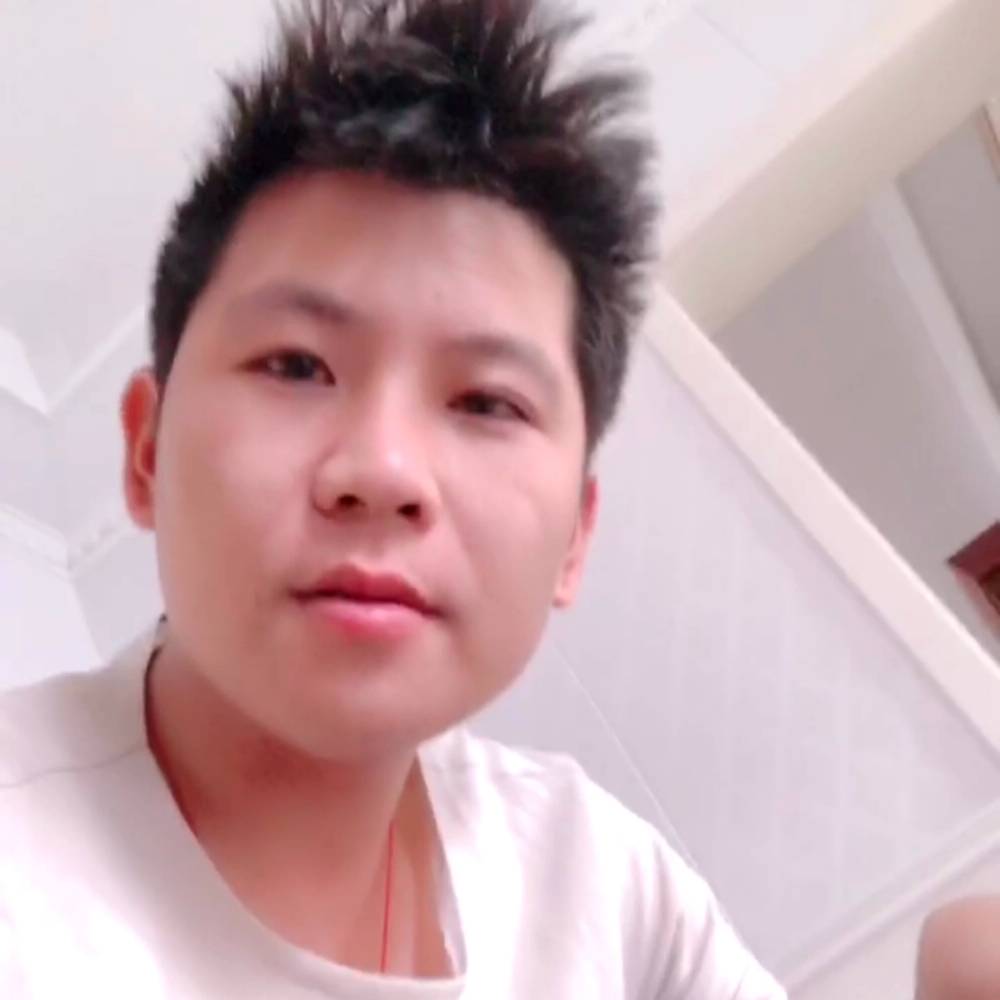 背后的羊的照片