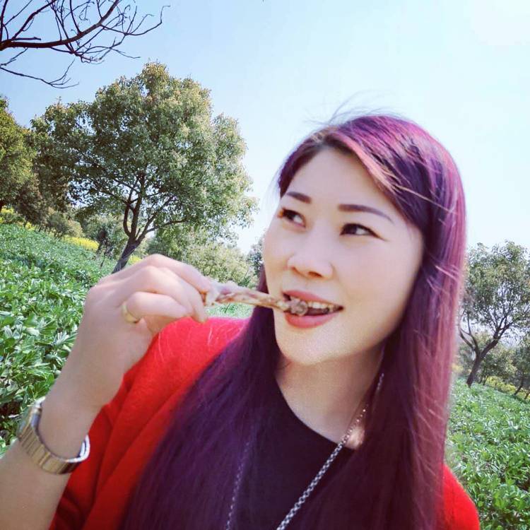 带刺铁丝网的照片