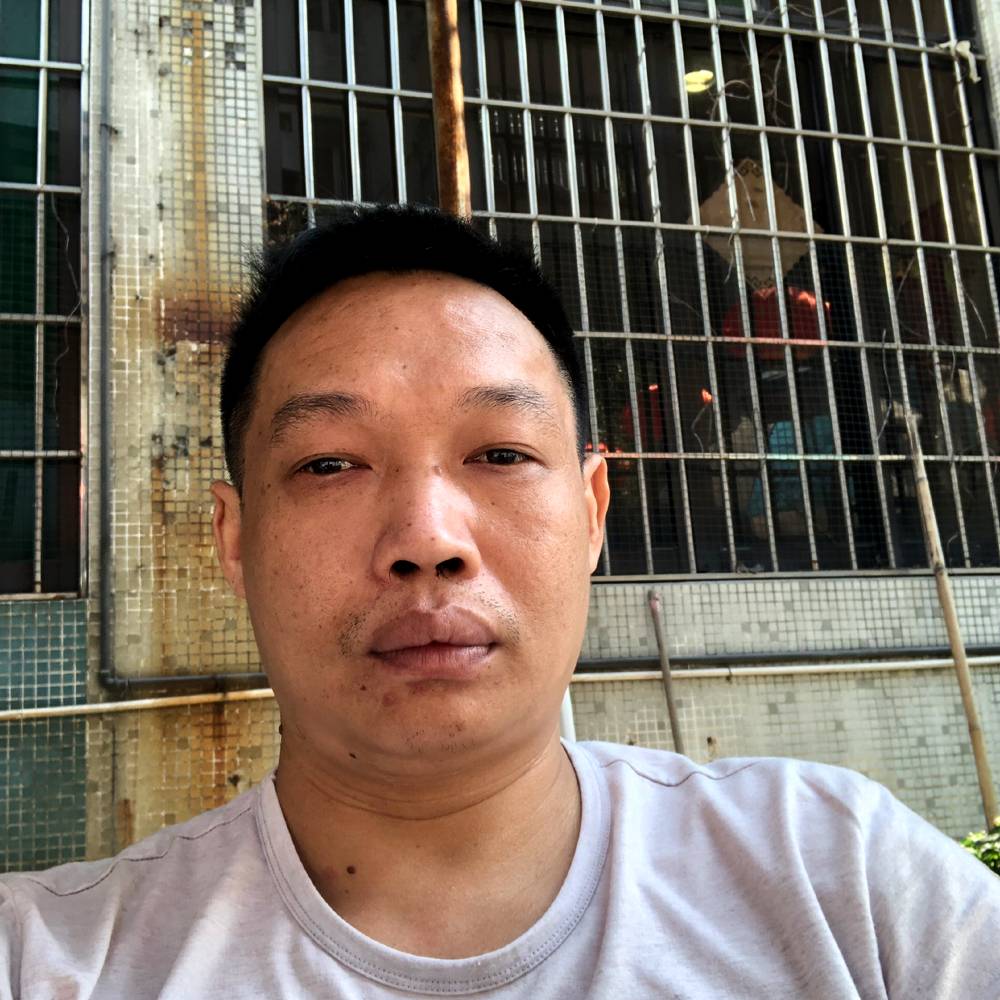 小鸭子任性的照片