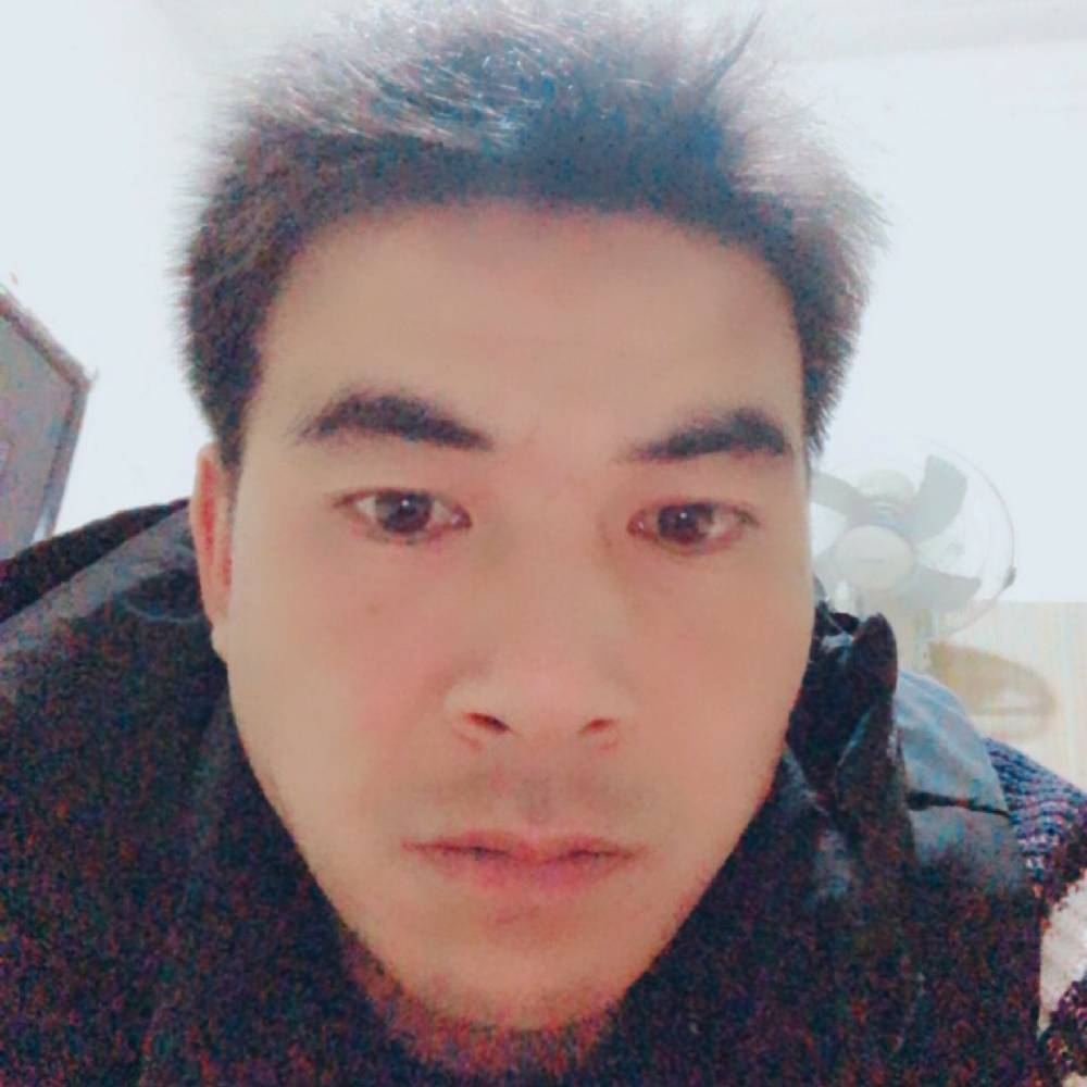 灰狼爱笑的照片