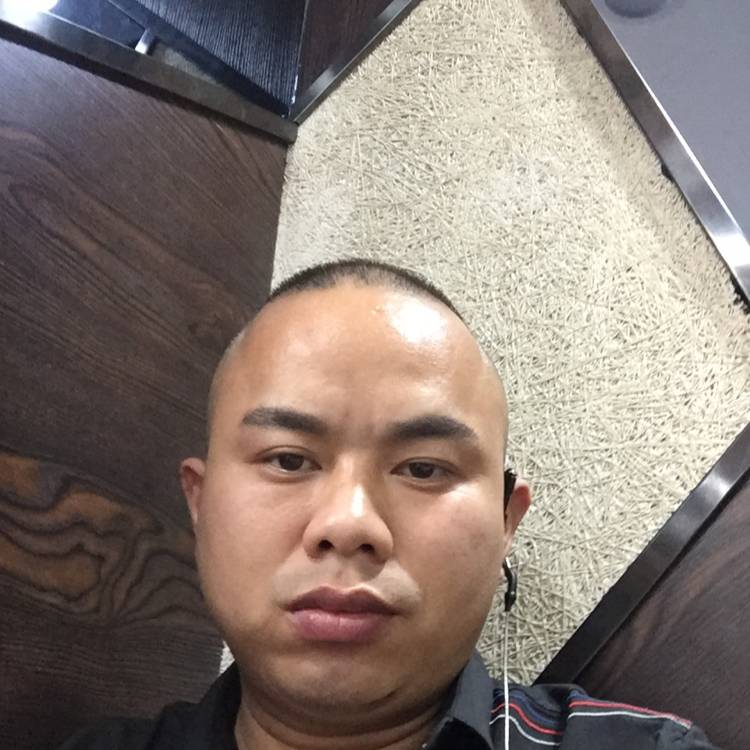 硬币生动的照片