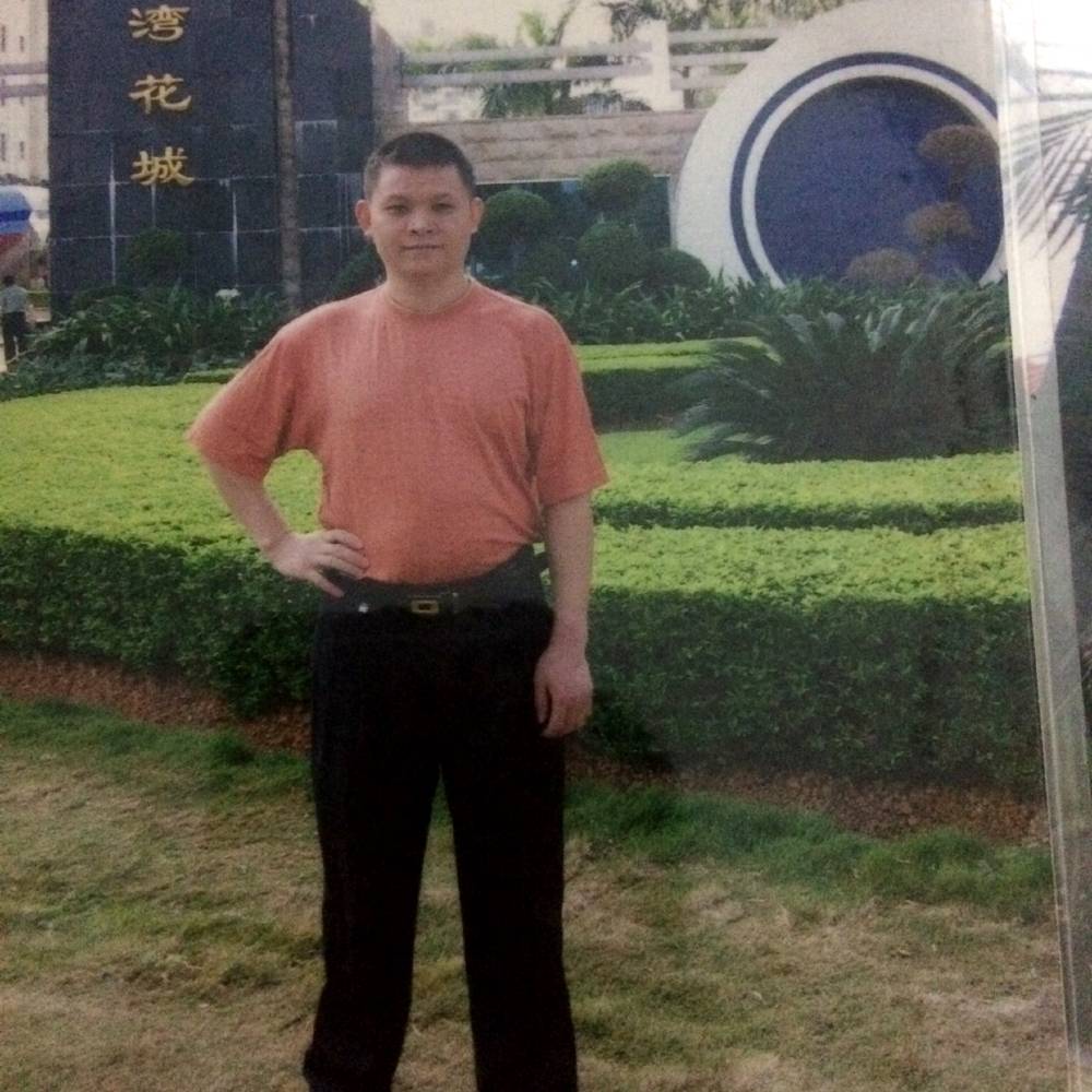 清脆愿白猫的照片