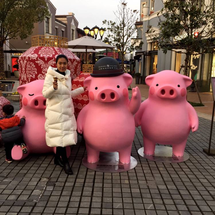 笨笨等待蓝天的照片