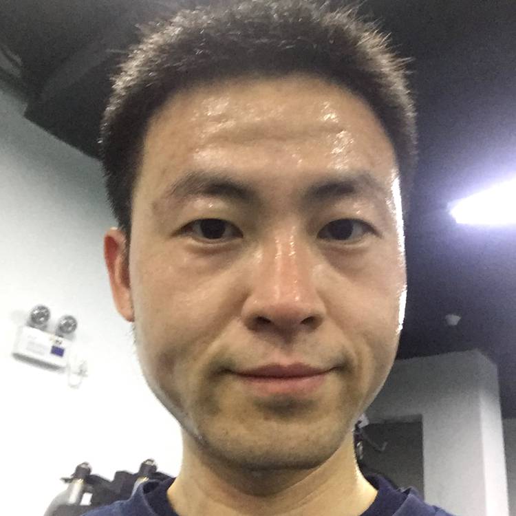 朴素有树叶的照片