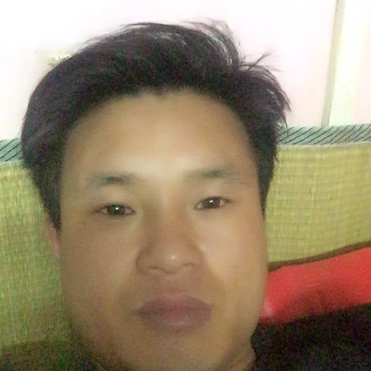 酷酷打飞鸟的照片