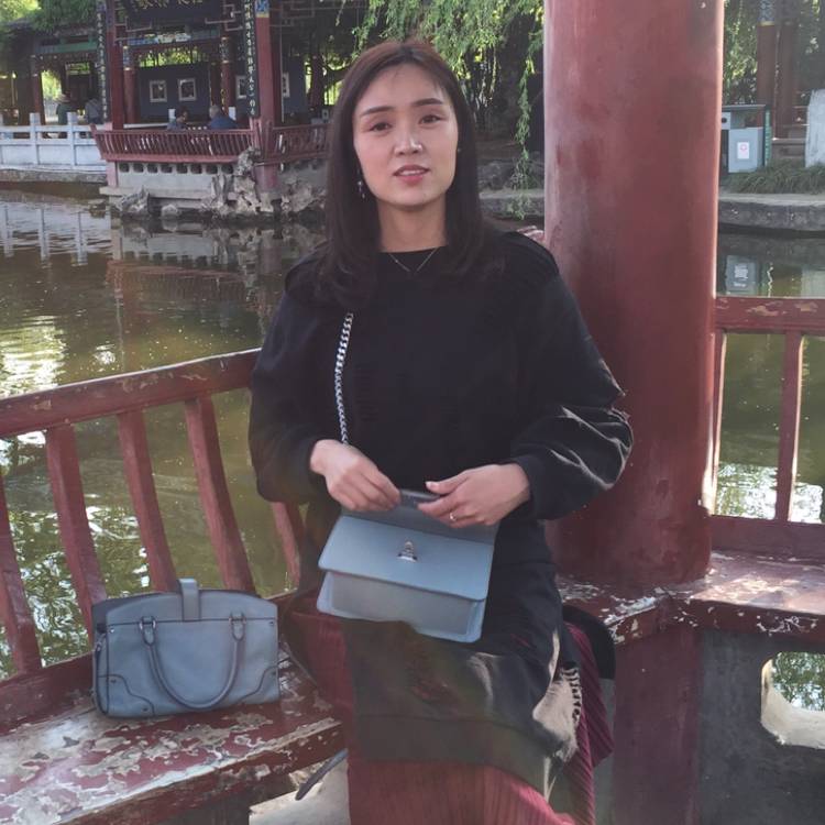 小海豚等于幽默的照片