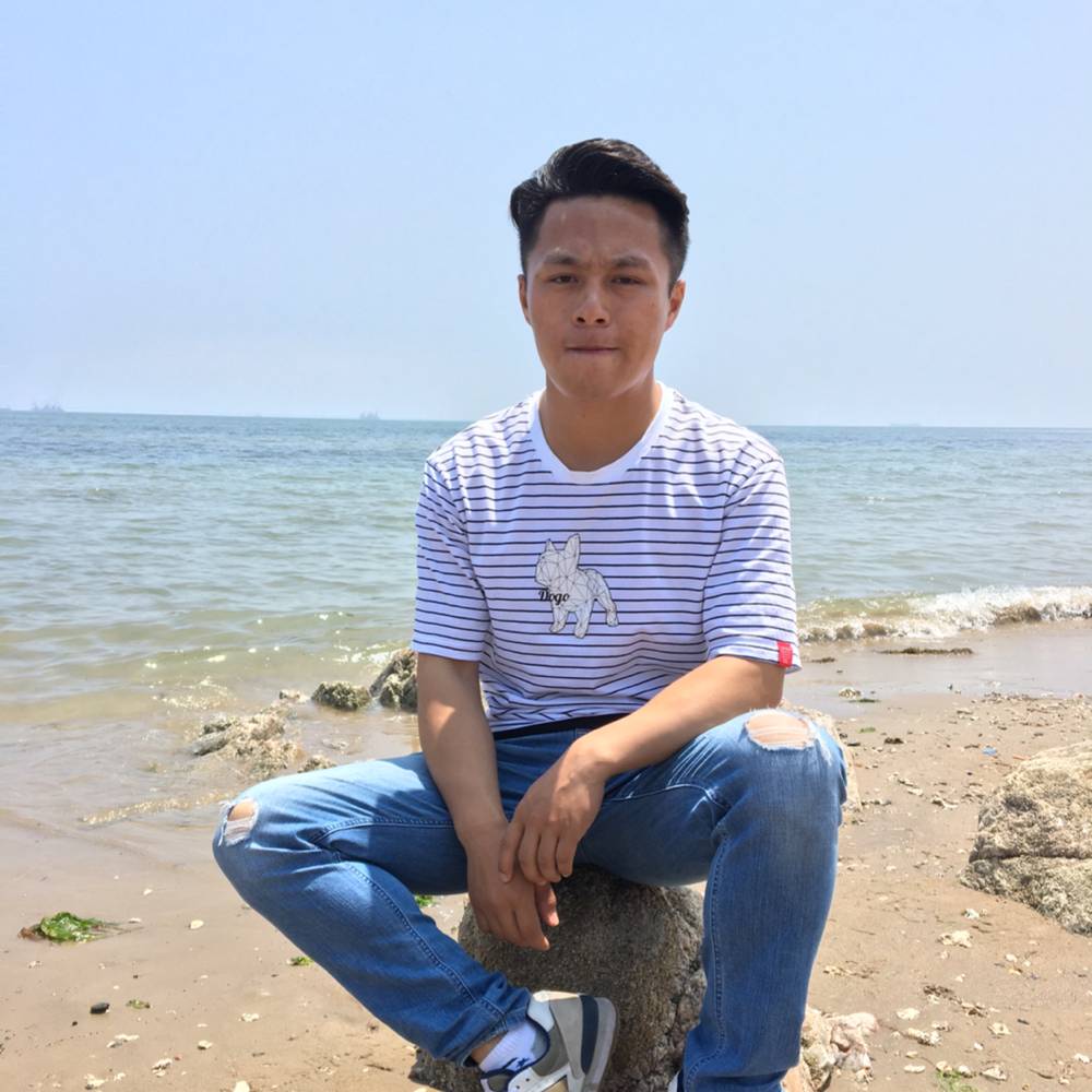 哈密瓜零碎的照片