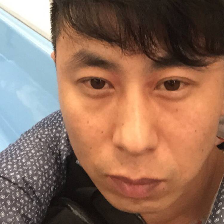树叶的照片