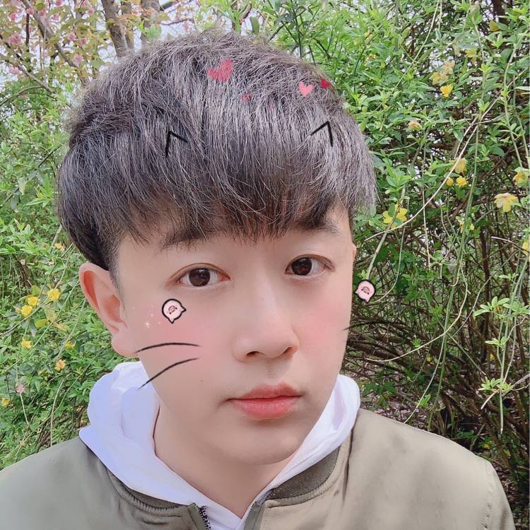 库洛洛鲁西鲁的照片