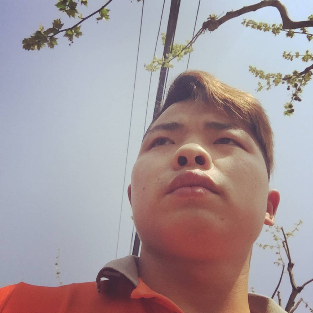 斑驳踢黄蜂的照片