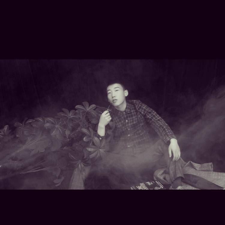 会飞的大头蚂蚁的照片