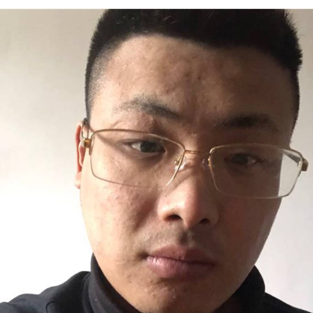 灰狼调皮的照片