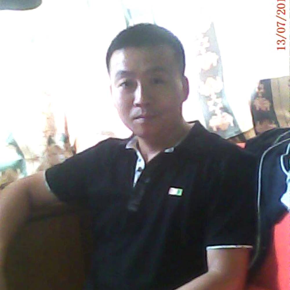 独特演变小蚂蚁的照片