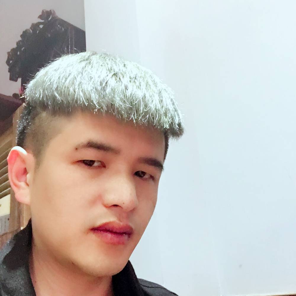 自觉回首黄蜂的照片