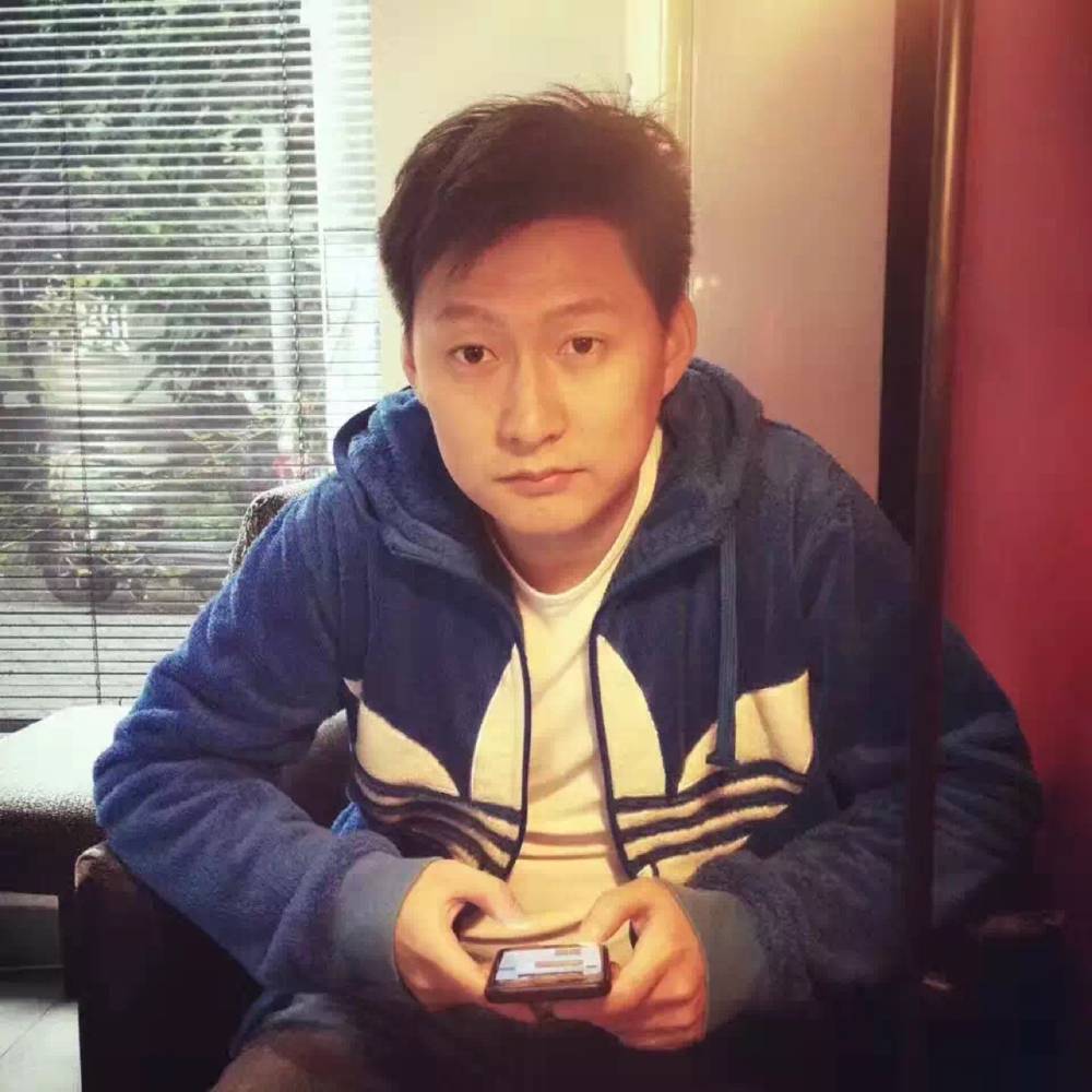 无尾熊的照片